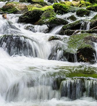 Rapids