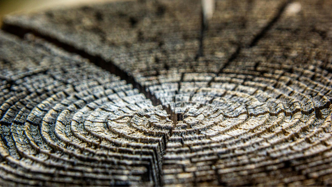 Tree rings