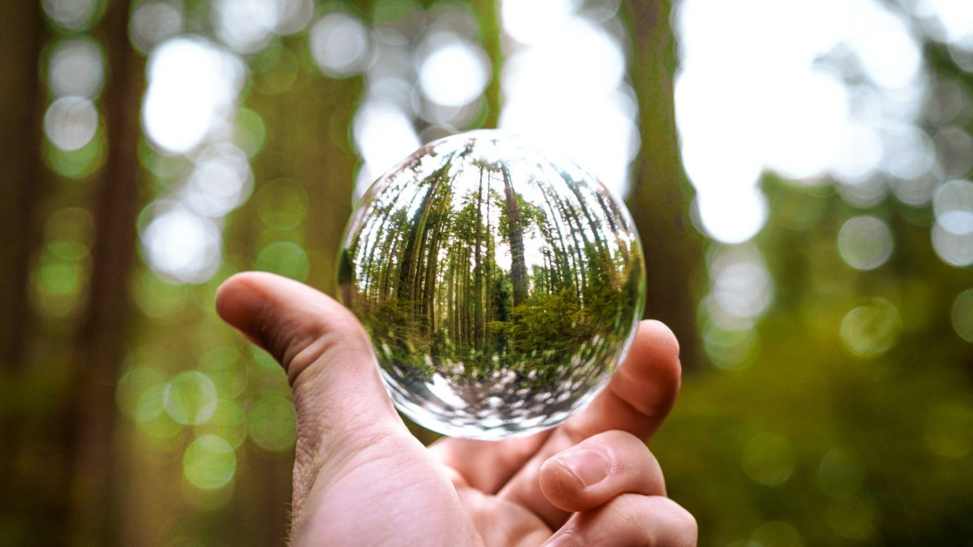 Hand Holding A Lens Ball